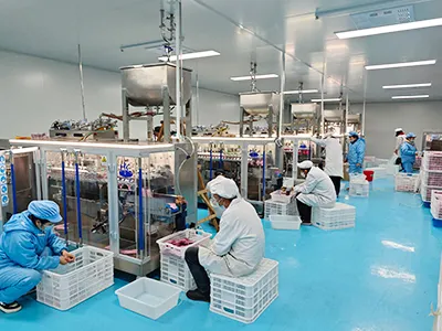 Company Profile