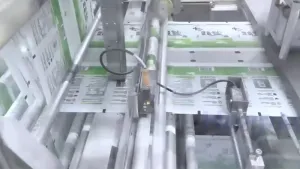 Rollstock Pouch Salt Packaging Machine