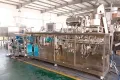Spouted Stand-Up Pouch HFFS Packaging Machine, 1-Nozzle Filling