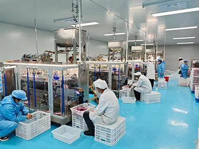Customer Case Studies